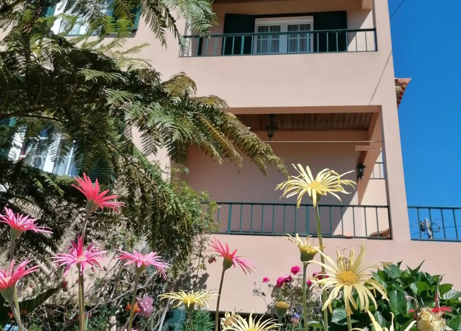 Abrigo Do Monte Villa Ribeira Brava Holiday home